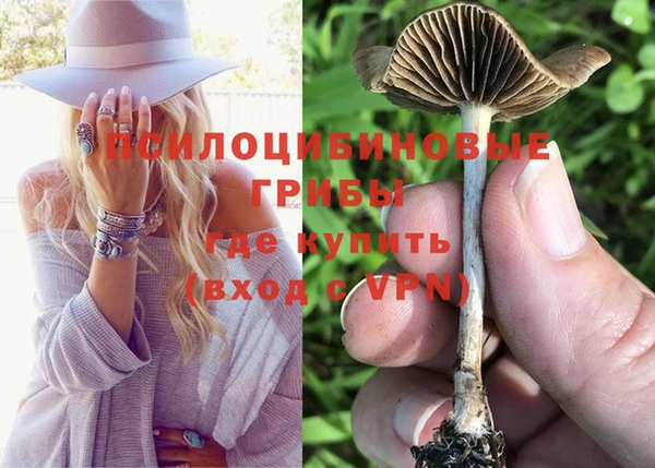 стафф Абинск