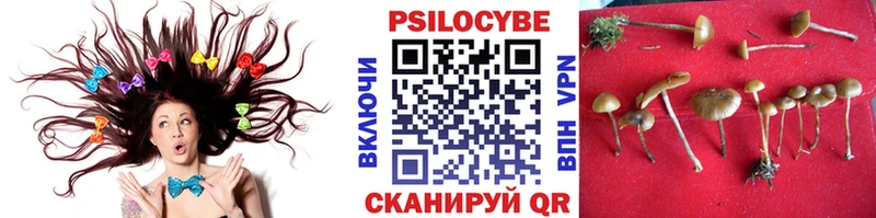 Галлюциногенные грибы Psilocybe  Истра 