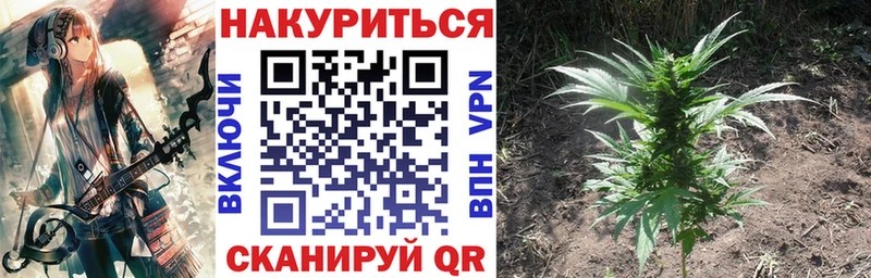 Канабис марихуана Истра